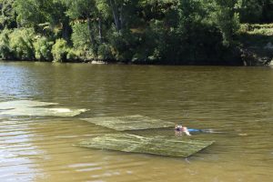 Brydee Rood, River Survival Series: Whanganui River Gold Waters, 2016, performance/video installation