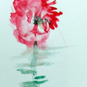 Anzac Poppies - watercolour
