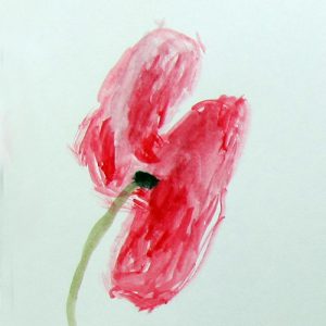Anzac Poppies - watercolour